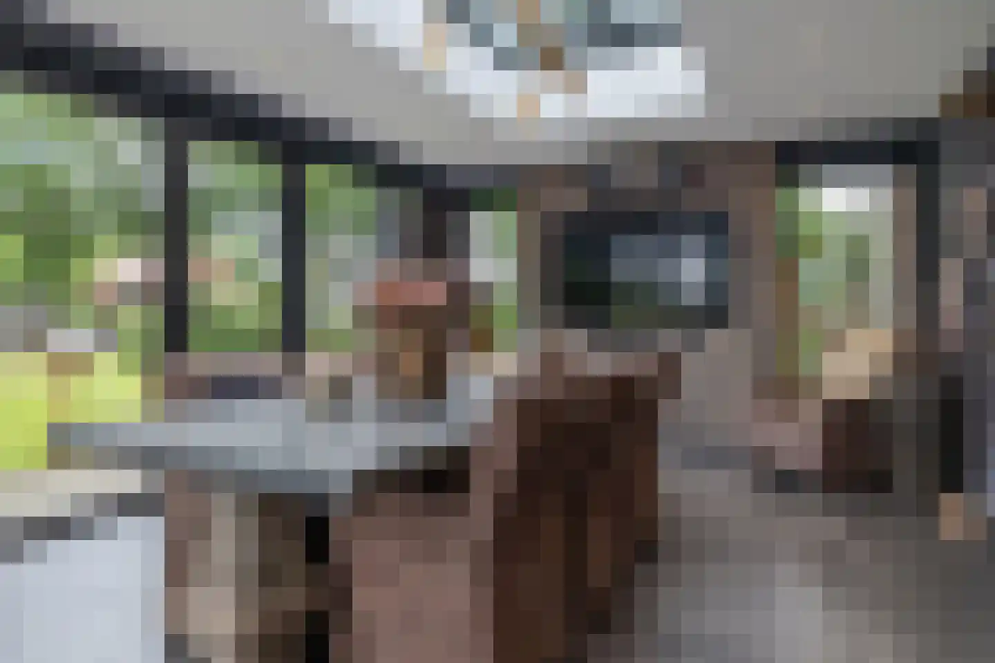 Dordseweg 16 Nieuw-Schoonebeek thumbnail 13