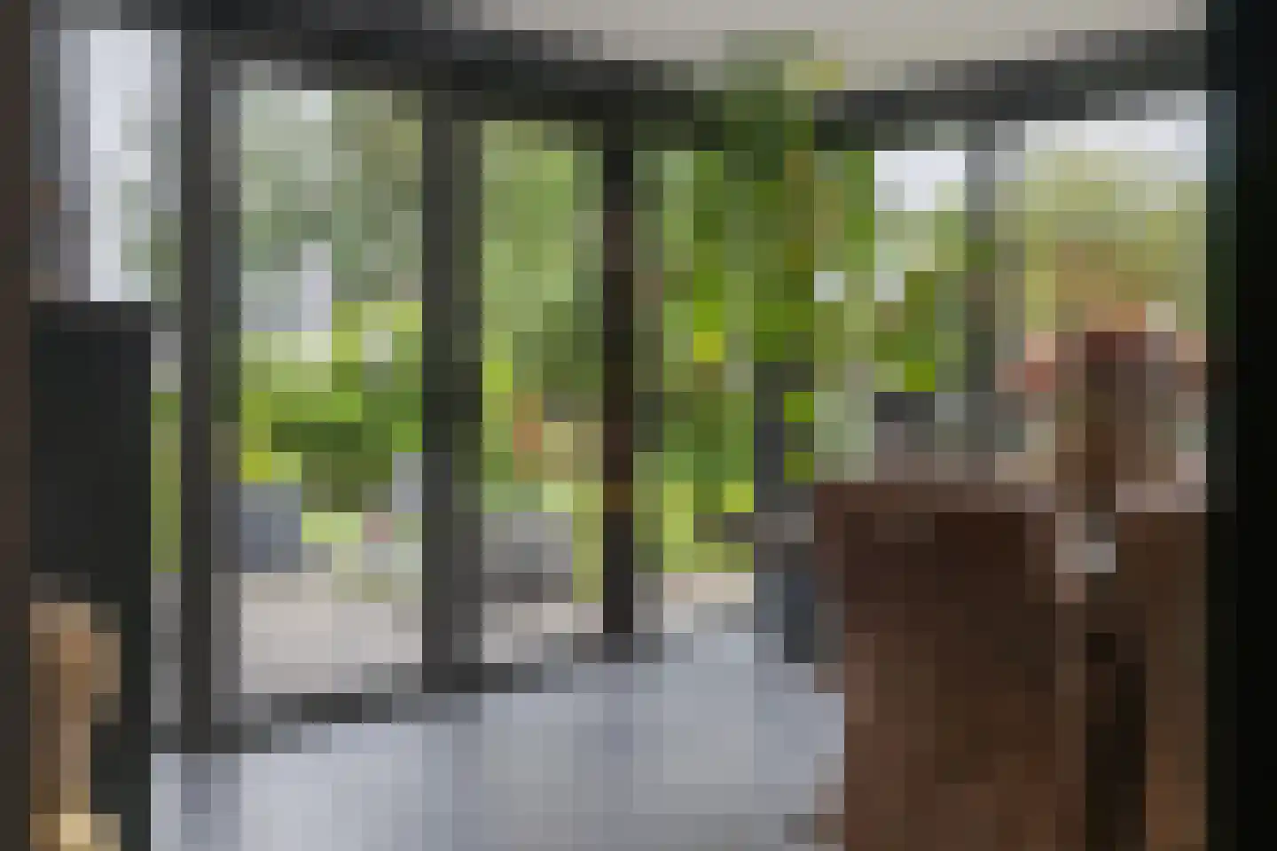 Dordseweg 16 Nieuw-Schoonebeek thumbnail 15