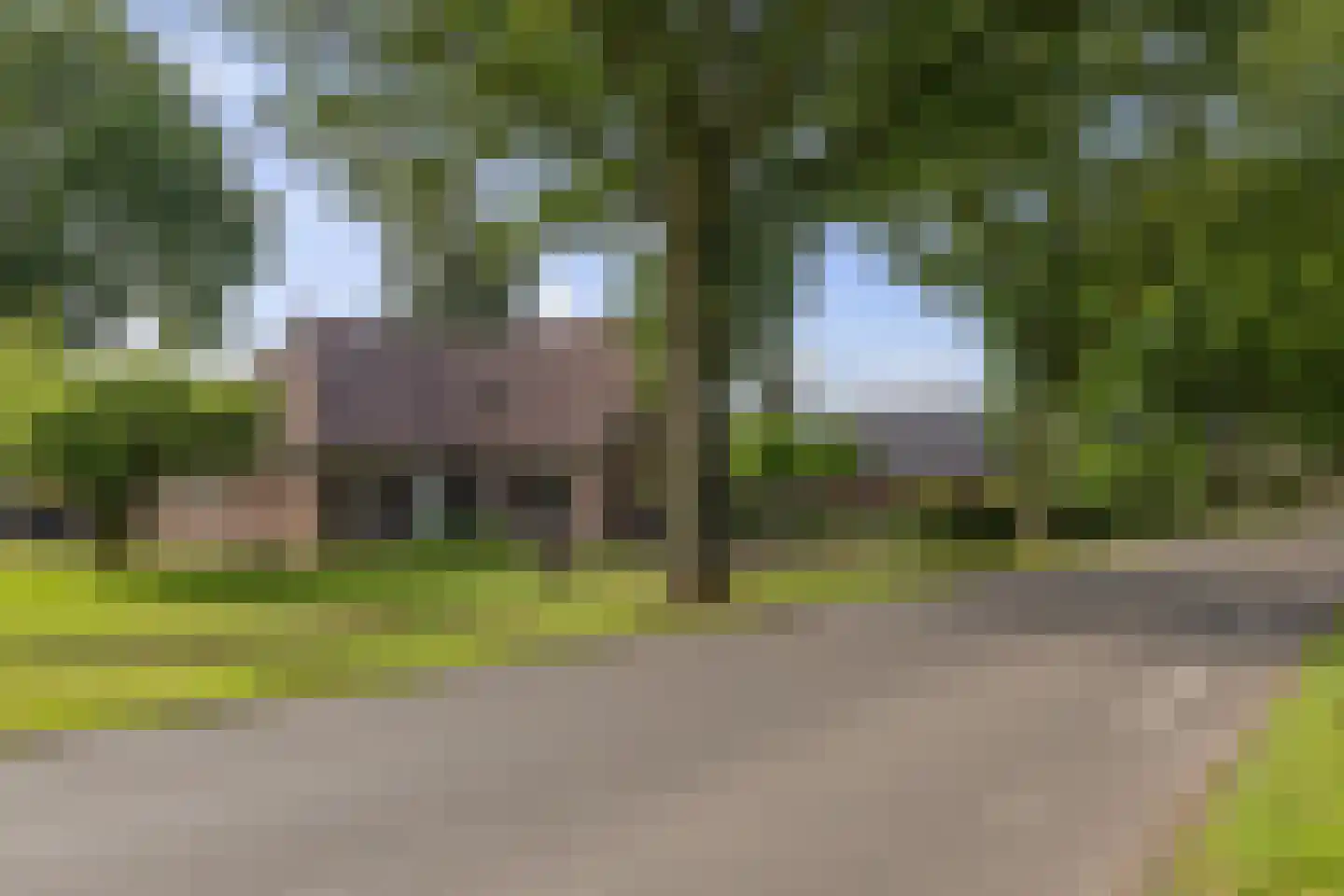 Dordseweg 16 Nieuw-Schoonebeek thumbnail 5