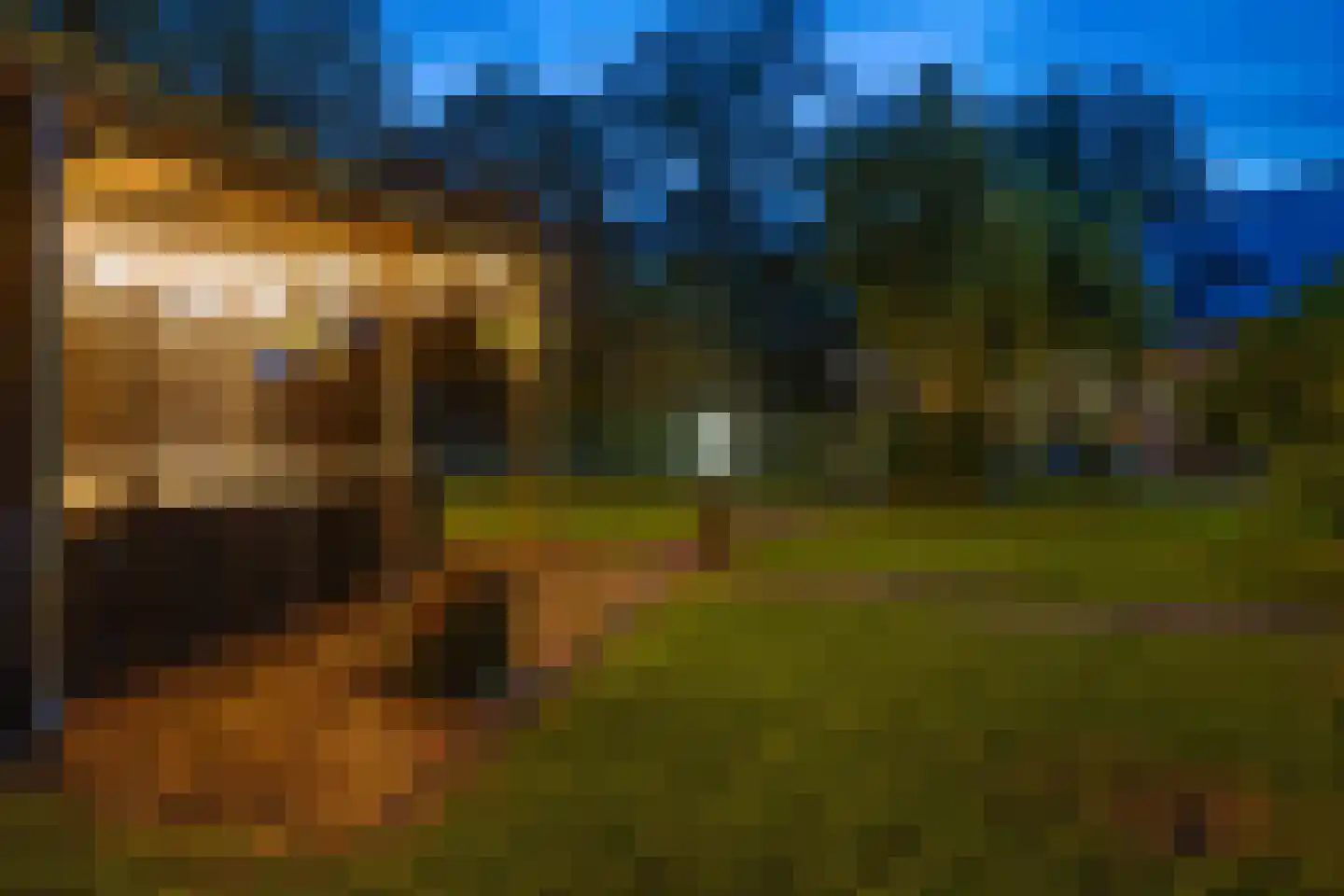 Dordseweg 16 Nieuw-Schoonebeek thumbnail 51