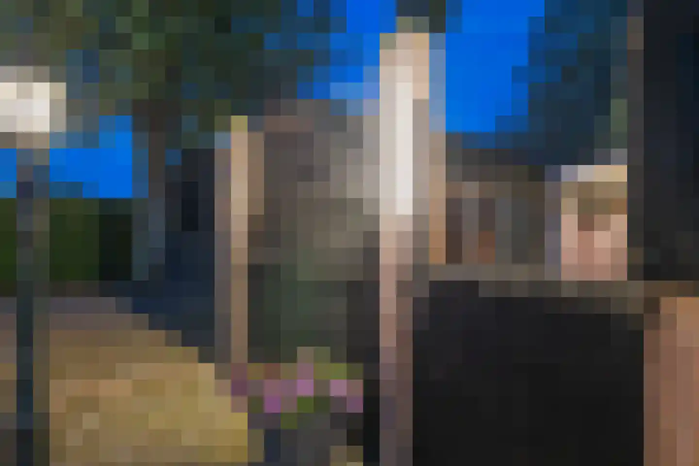 Dordseweg 16 Nieuw-Schoonebeek thumbnail 56