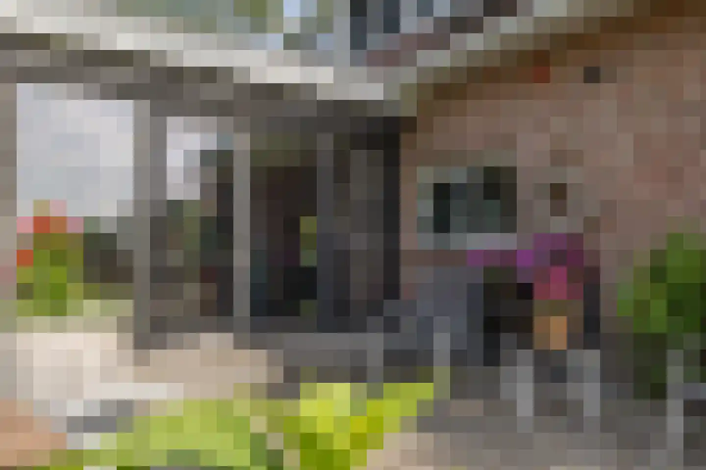 Dordseweg 16 Nieuw-Schoonebeek thumbnail 58