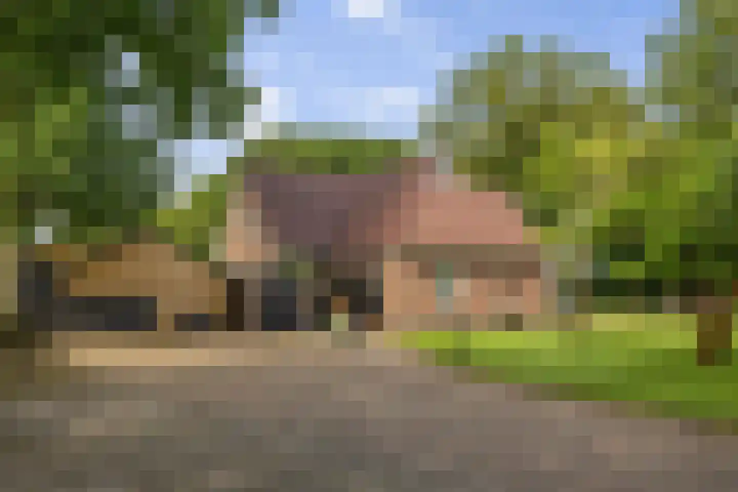 Dordseweg 16 Nieuw-Schoonebeek thumbnail 6