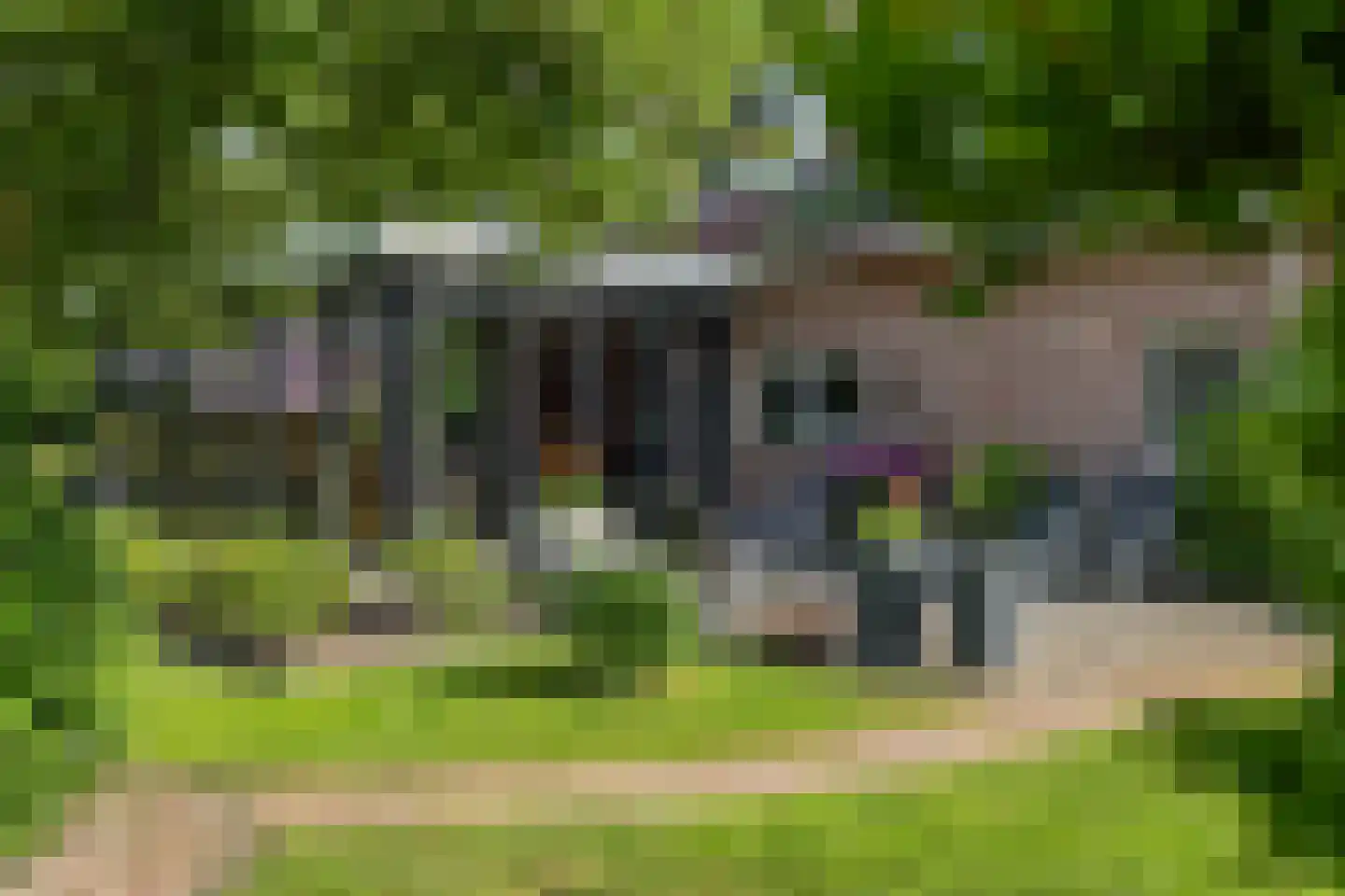 Dordseweg 16 Nieuw-Schoonebeek thumbnail 60