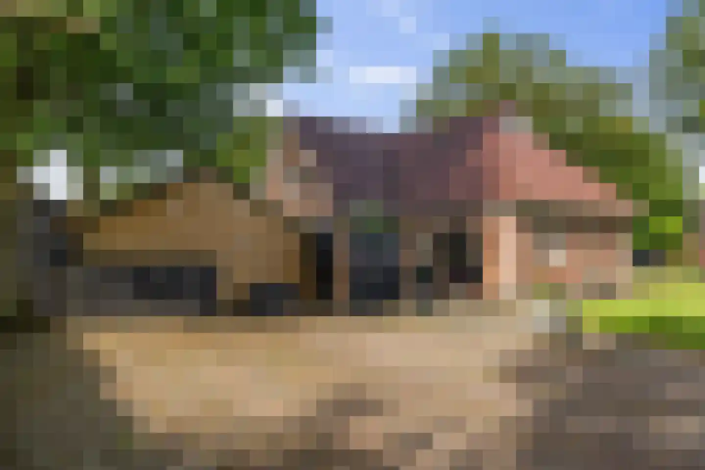 Dordseweg 16 Nieuw-Schoonebeek thumbnail 62