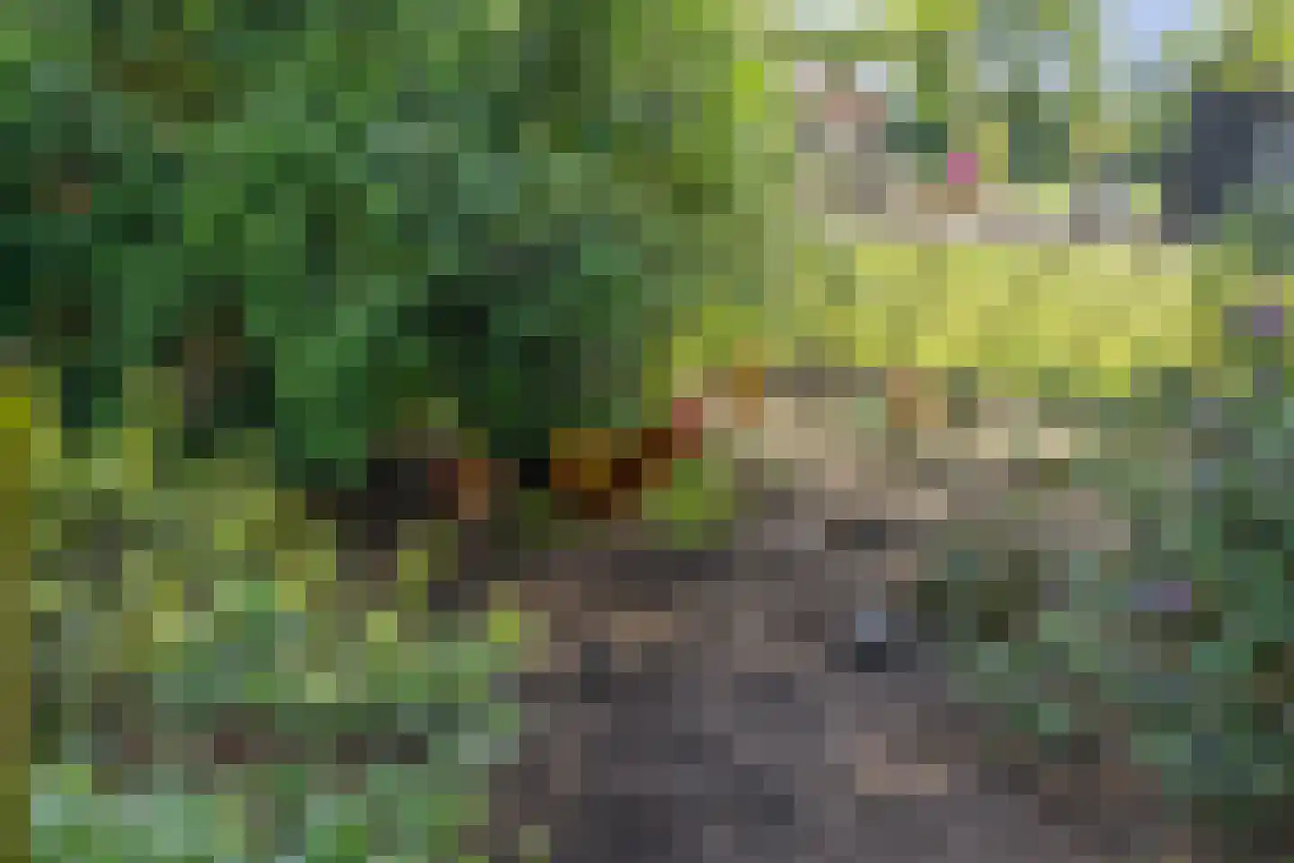 Dordseweg 16 Nieuw-Schoonebeek thumbnail 66