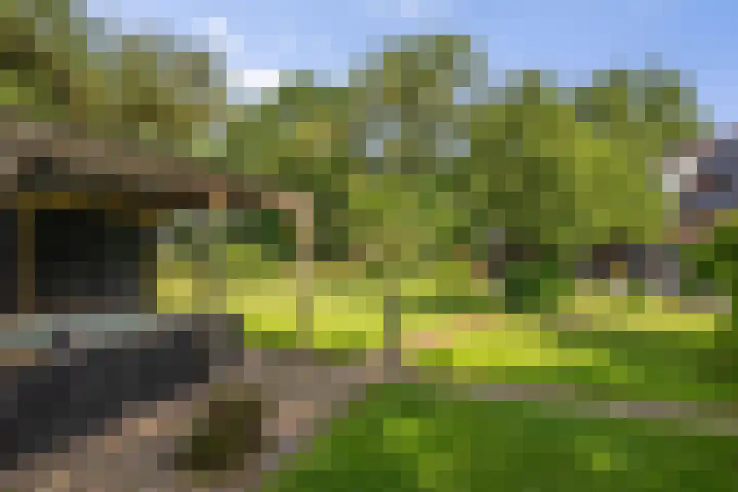 Dordseweg 16 Nieuw-Schoonebeek thumbnail 68