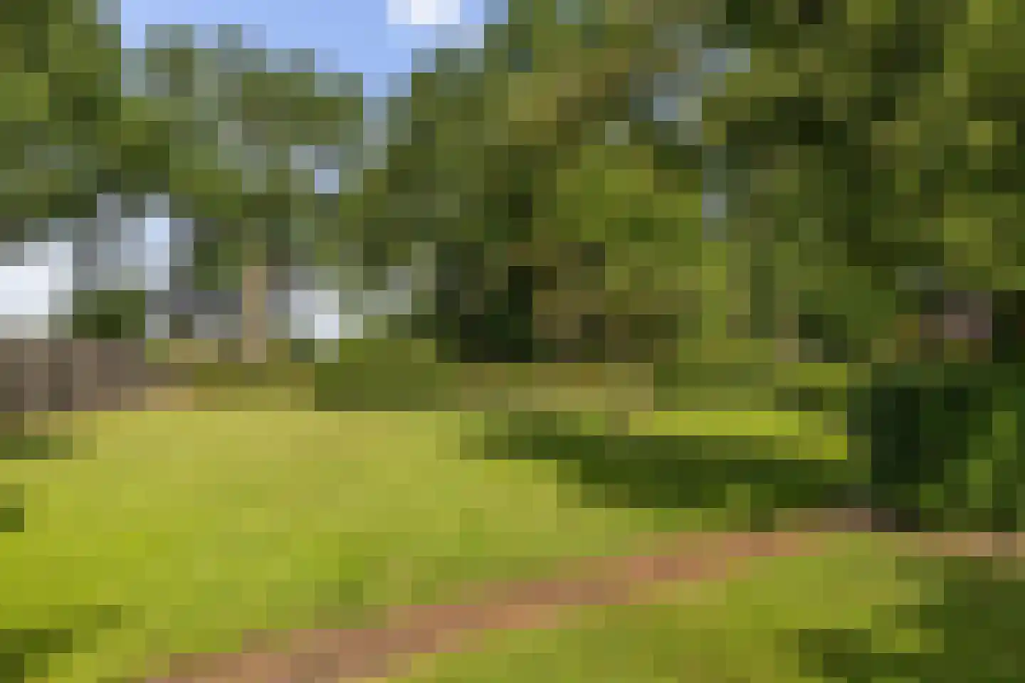 Dordseweg 16 Nieuw-Schoonebeek thumbnail 71