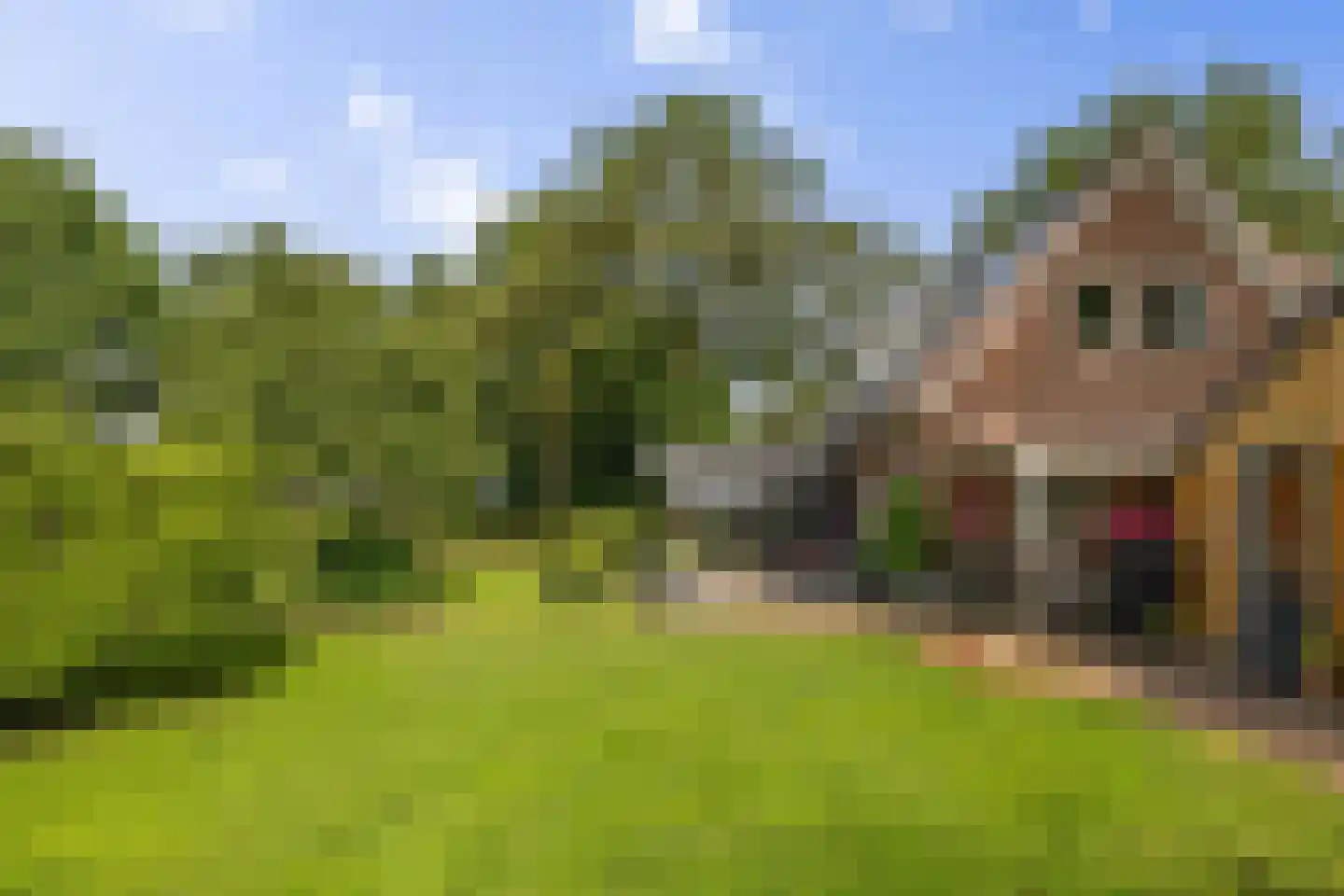Dordseweg 16 Nieuw-Schoonebeek thumbnail 72