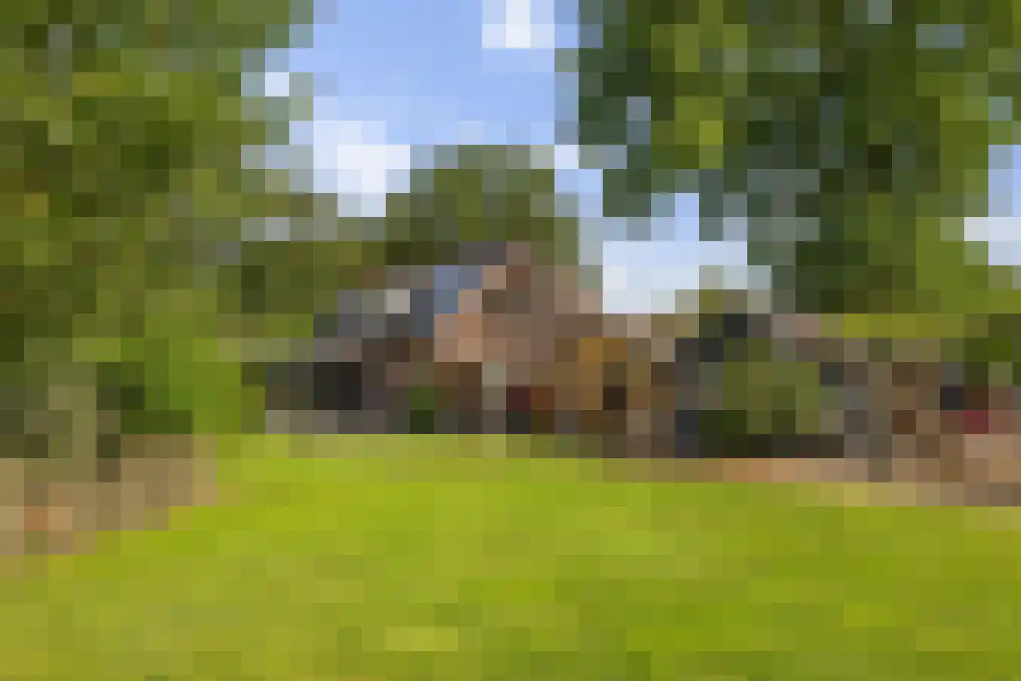Dordseweg 16 Nieuw-Schoonebeek thumbnail 73