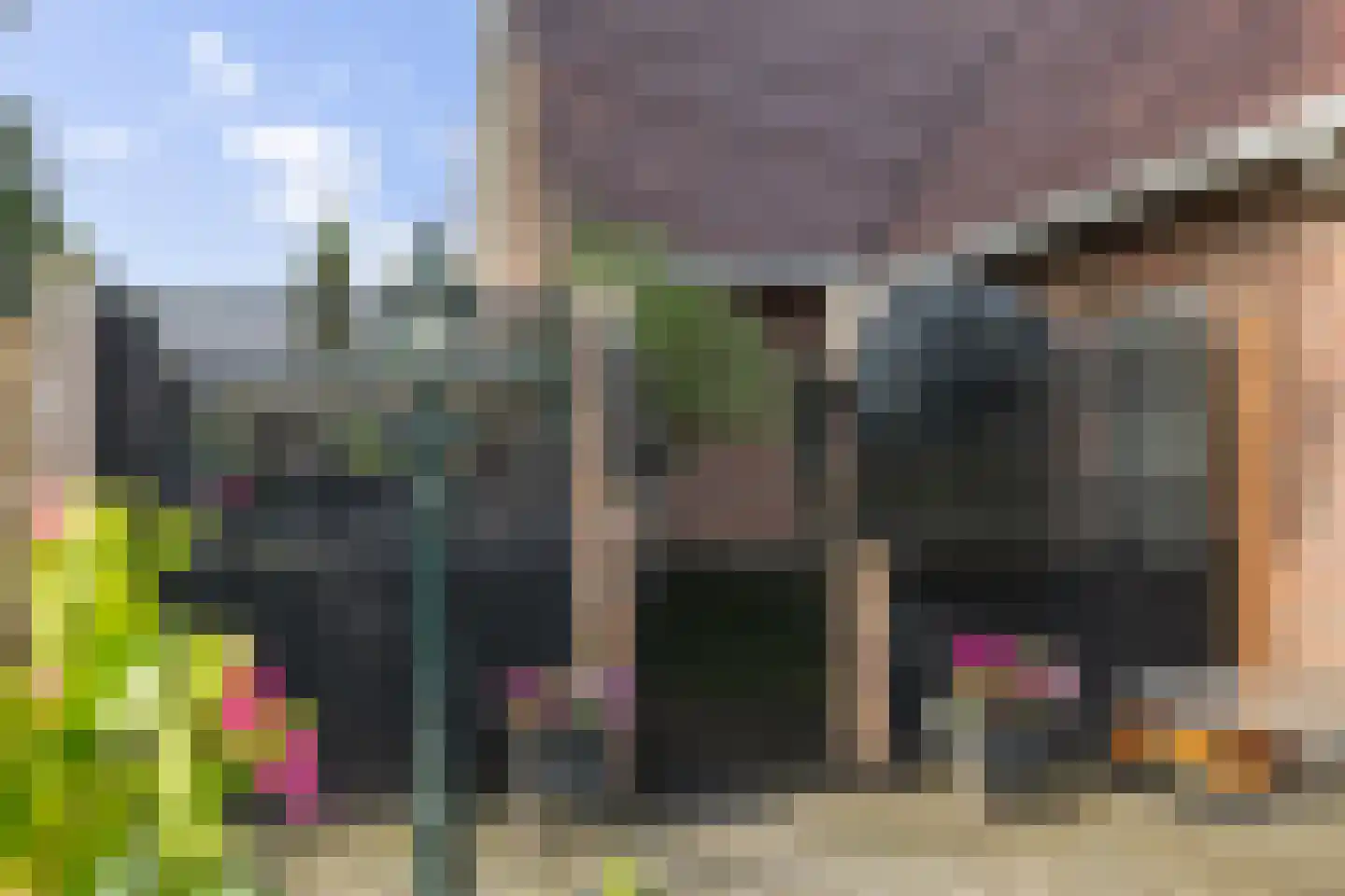 Dordseweg 16 Nieuw-Schoonebeek thumbnail 76