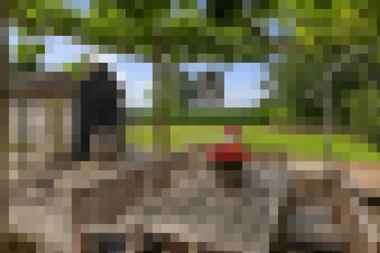 Dordseweg 16 Nieuw-Schoonebeek thumbnail 78