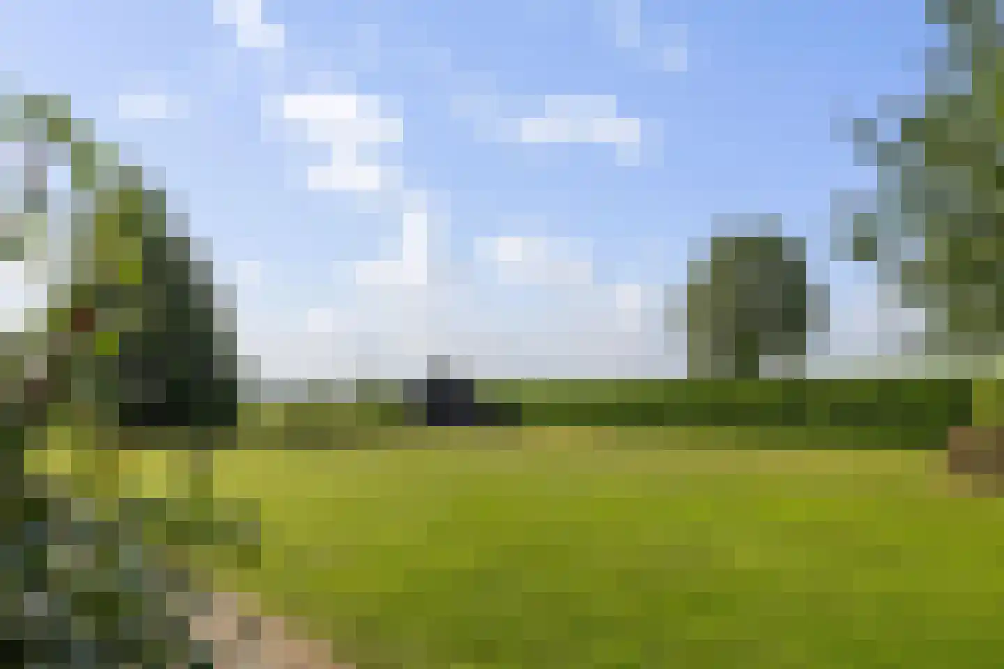 Dordseweg 16 Nieuw-Schoonebeek thumbnail 79
