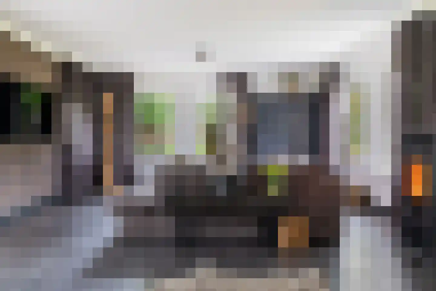 Dordseweg 16 Nieuw-Schoonebeek thumbnail 8