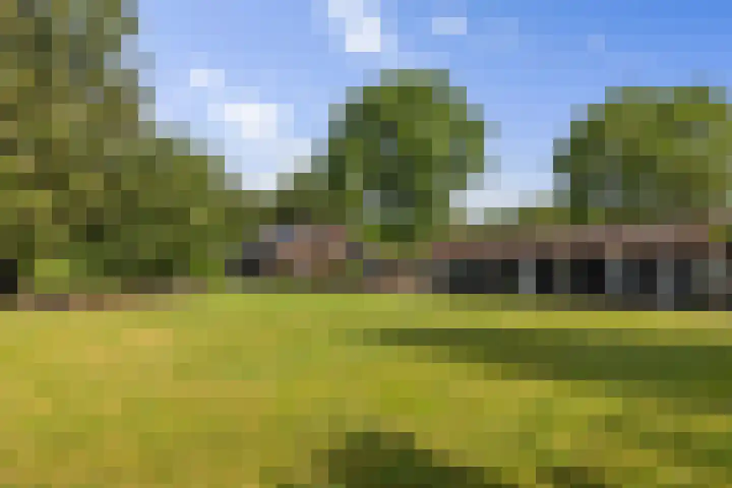 Dordseweg 16 Nieuw-Schoonebeek thumbnail 81