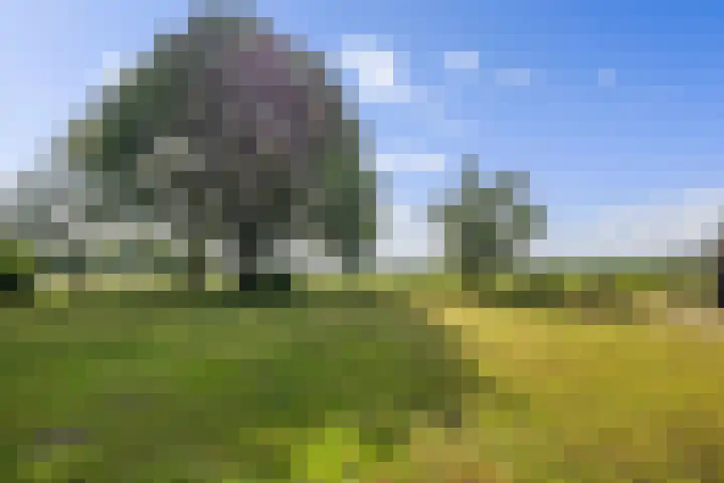 Dordseweg 16 Nieuw-Schoonebeek thumbnail 83