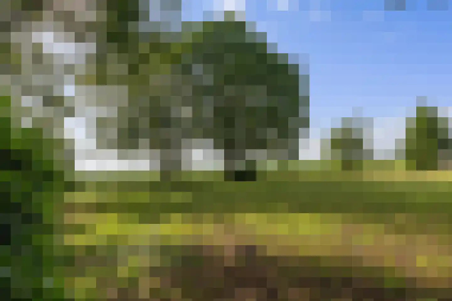 Dordseweg 16 Nieuw-Schoonebeek thumbnail 84