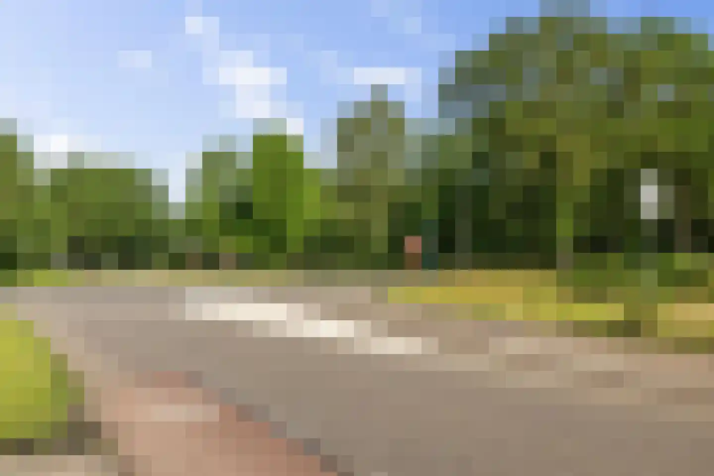 Dordseweg 16 Nieuw-Schoonebeek thumbnail 87