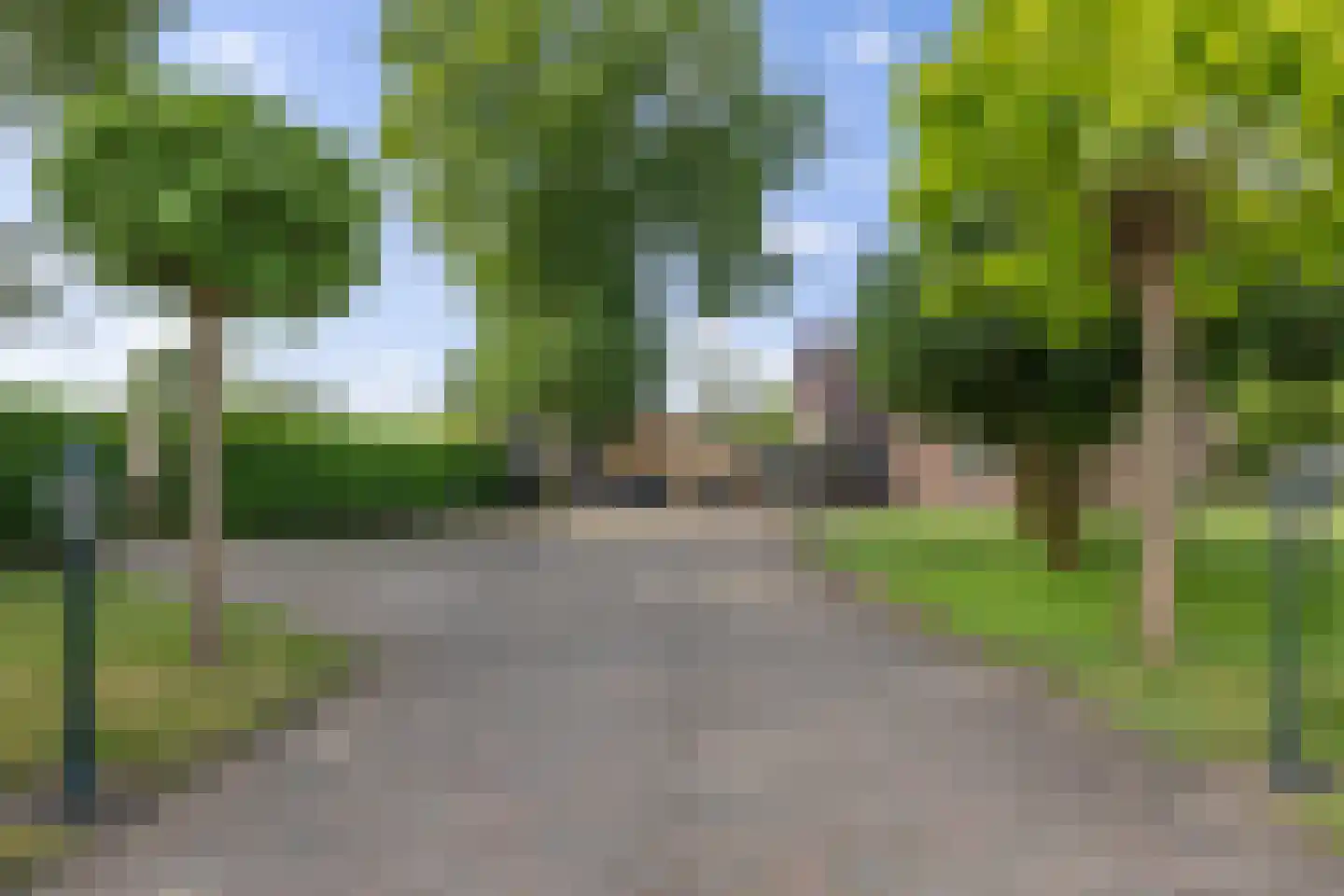 Dordseweg 16 Nieuw-Schoonebeek thumbnail 88