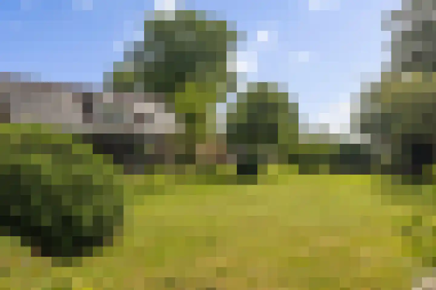 Dordseweg 16 Nieuw-Schoonebeek thumbnail 93