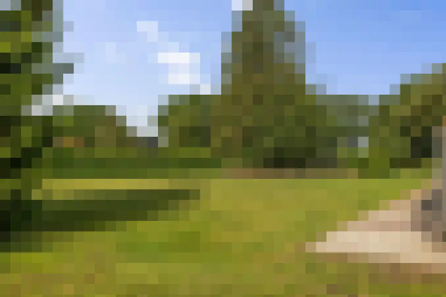 Dordseweg 16 Nieuw-Schoonebeek thumbnail 94
