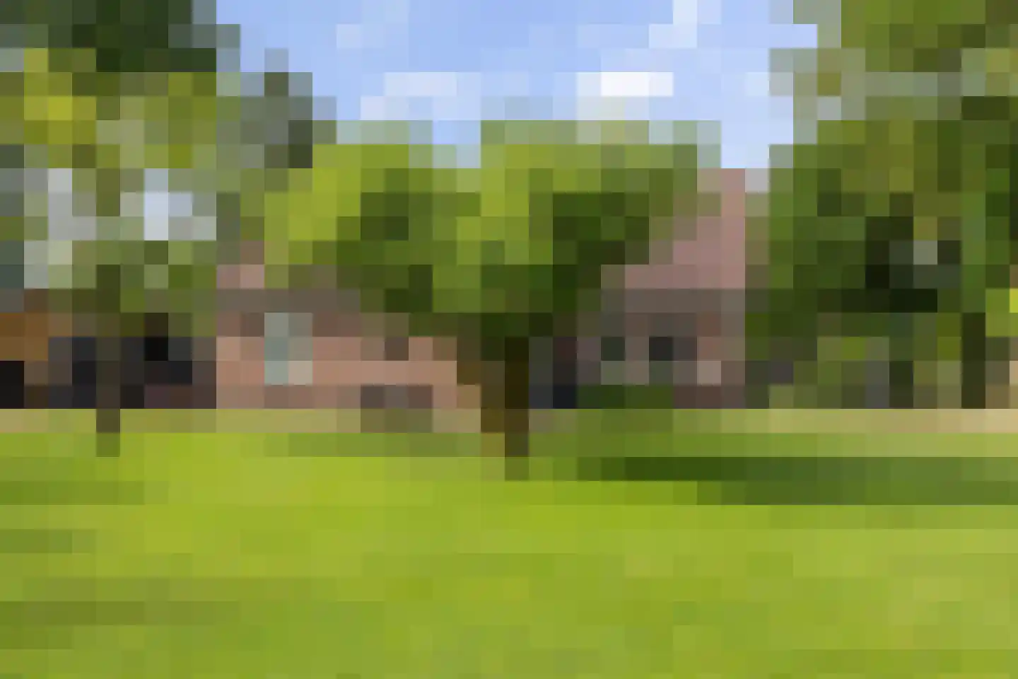 Dordseweg 16 Nieuw-Schoonebeek thumbnail 95