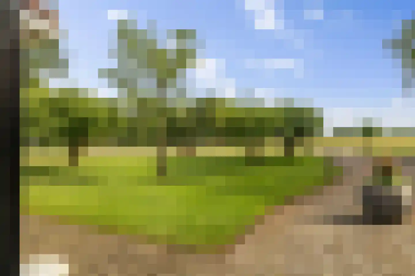 Dordseweg 16 Nieuw-Schoonebeek thumbnail 96