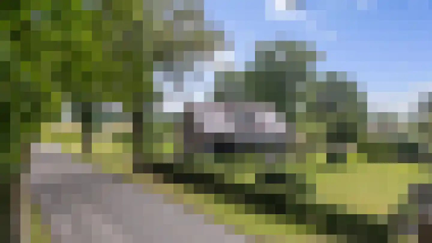 Dordseweg 16 Nieuw-Schoonebeek thumbnail 97