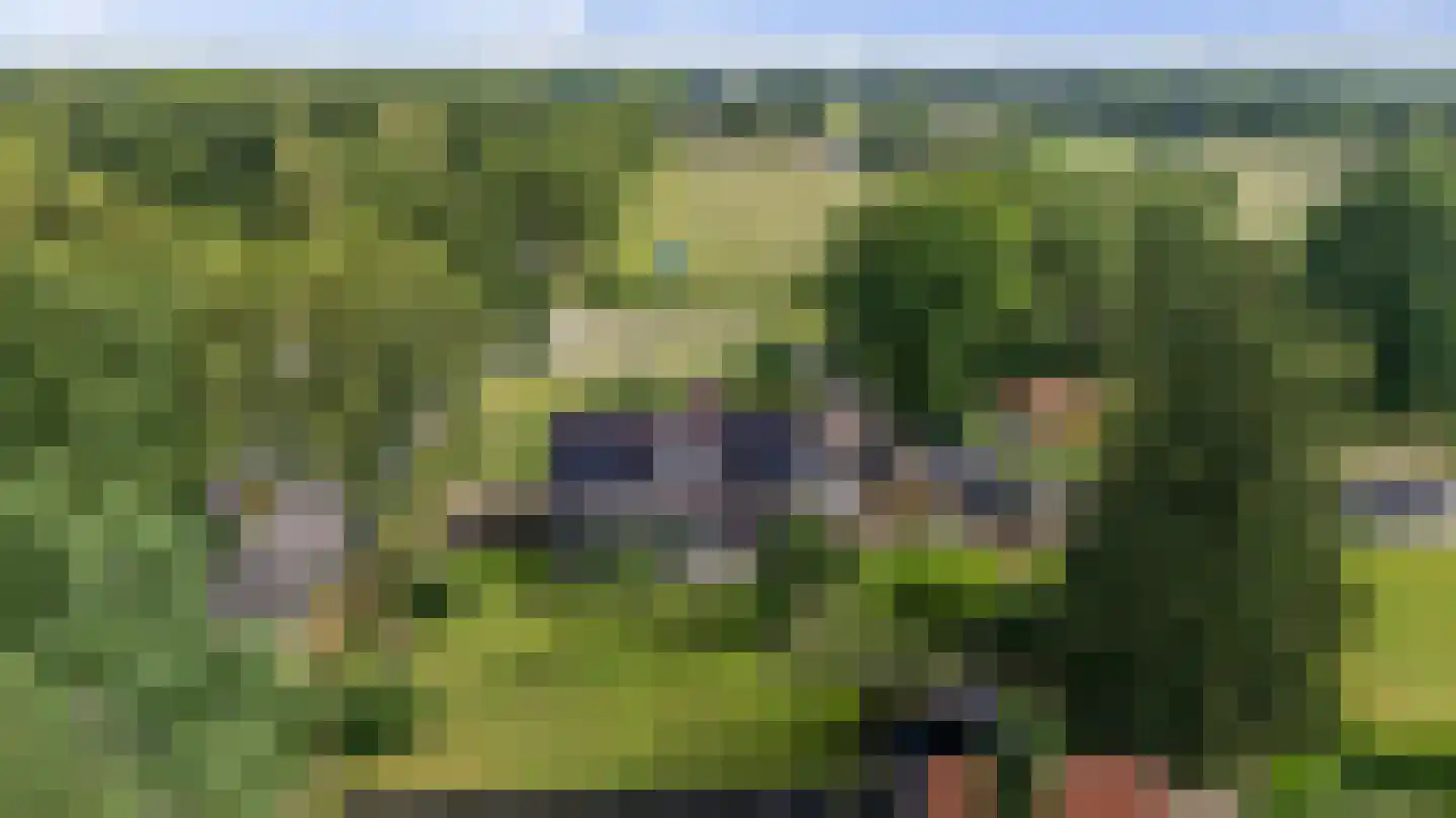 Dordseweg 16 Nieuw-Schoonebeek thumbnail 98