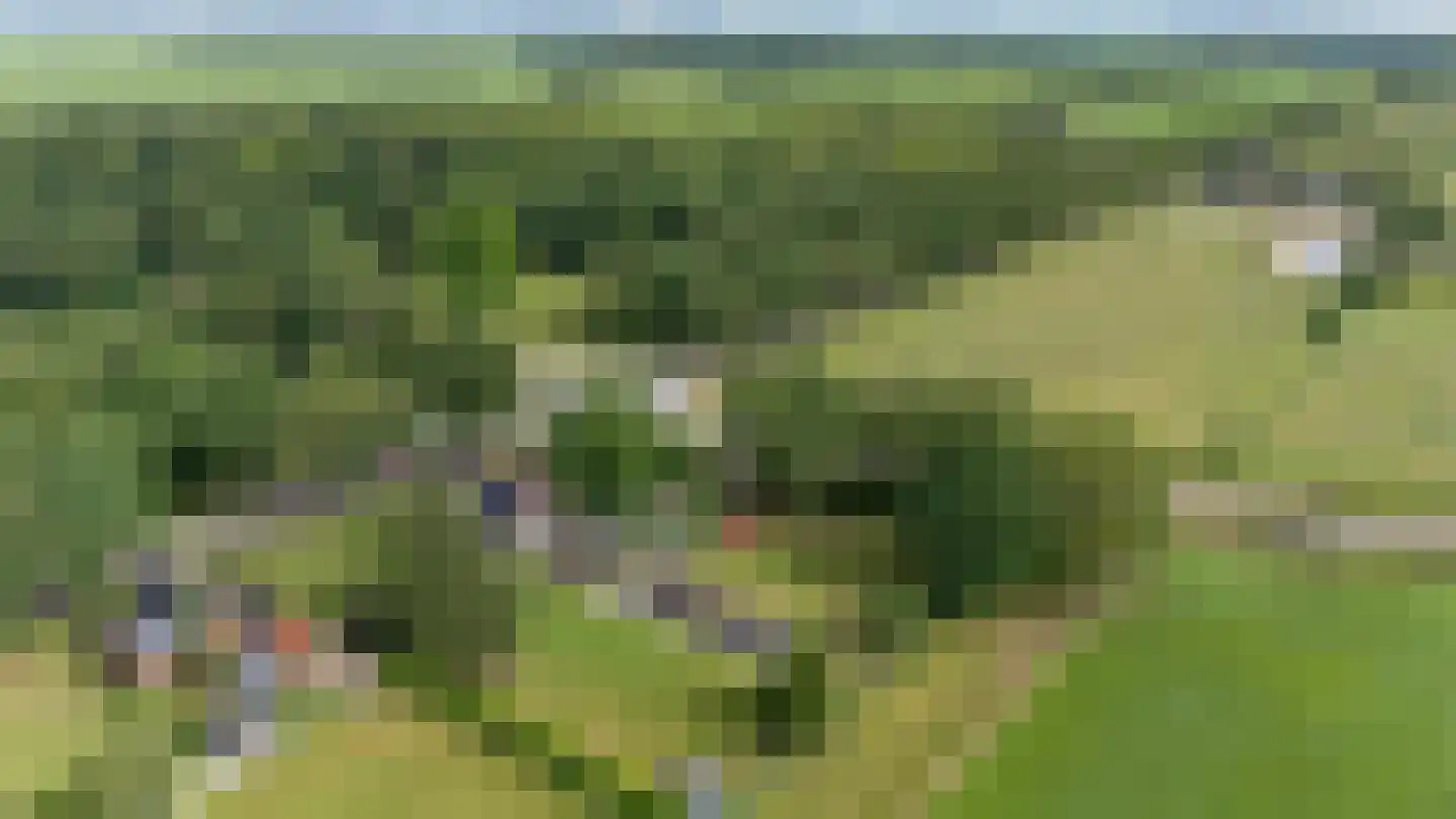 Dordseweg 16 Nieuw-Schoonebeek thumbnail 99