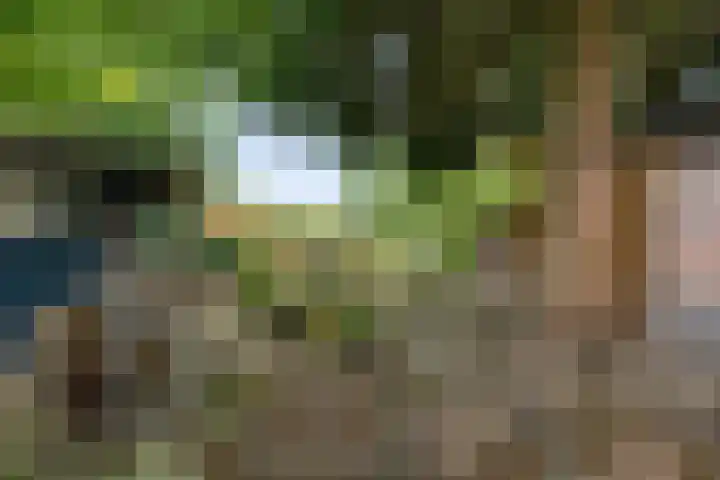 Dordseweg 45 Weiteveen thumbnail 43