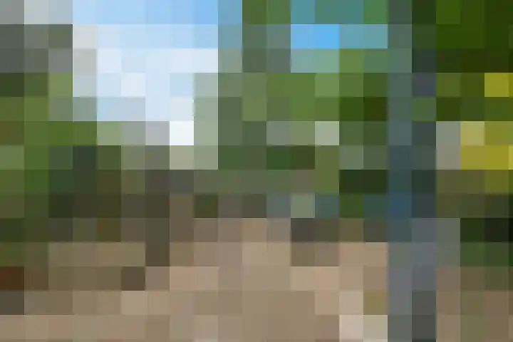 Dordseweg 45 Weiteveen thumbnail 45