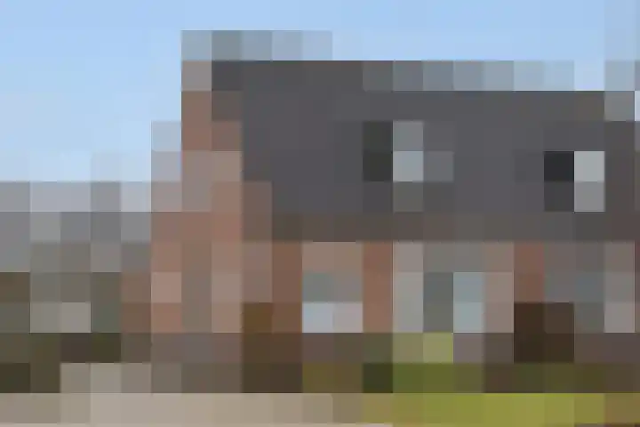 Dordseweg 46 in Weiteveen