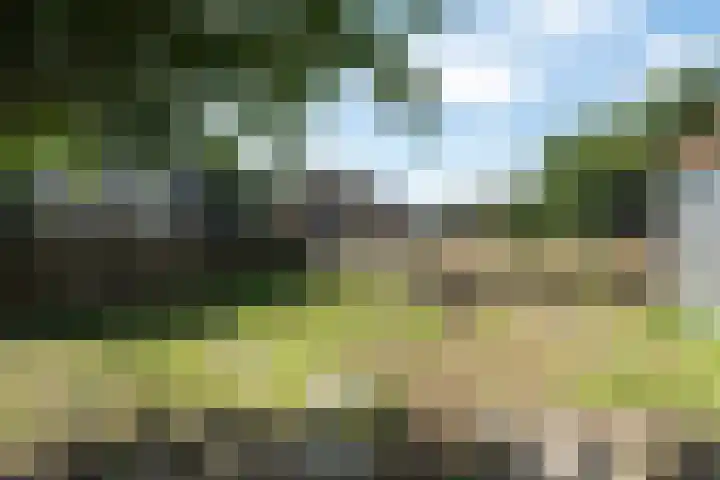 Dordseweg 59 A Weiteveen thumbnail 33