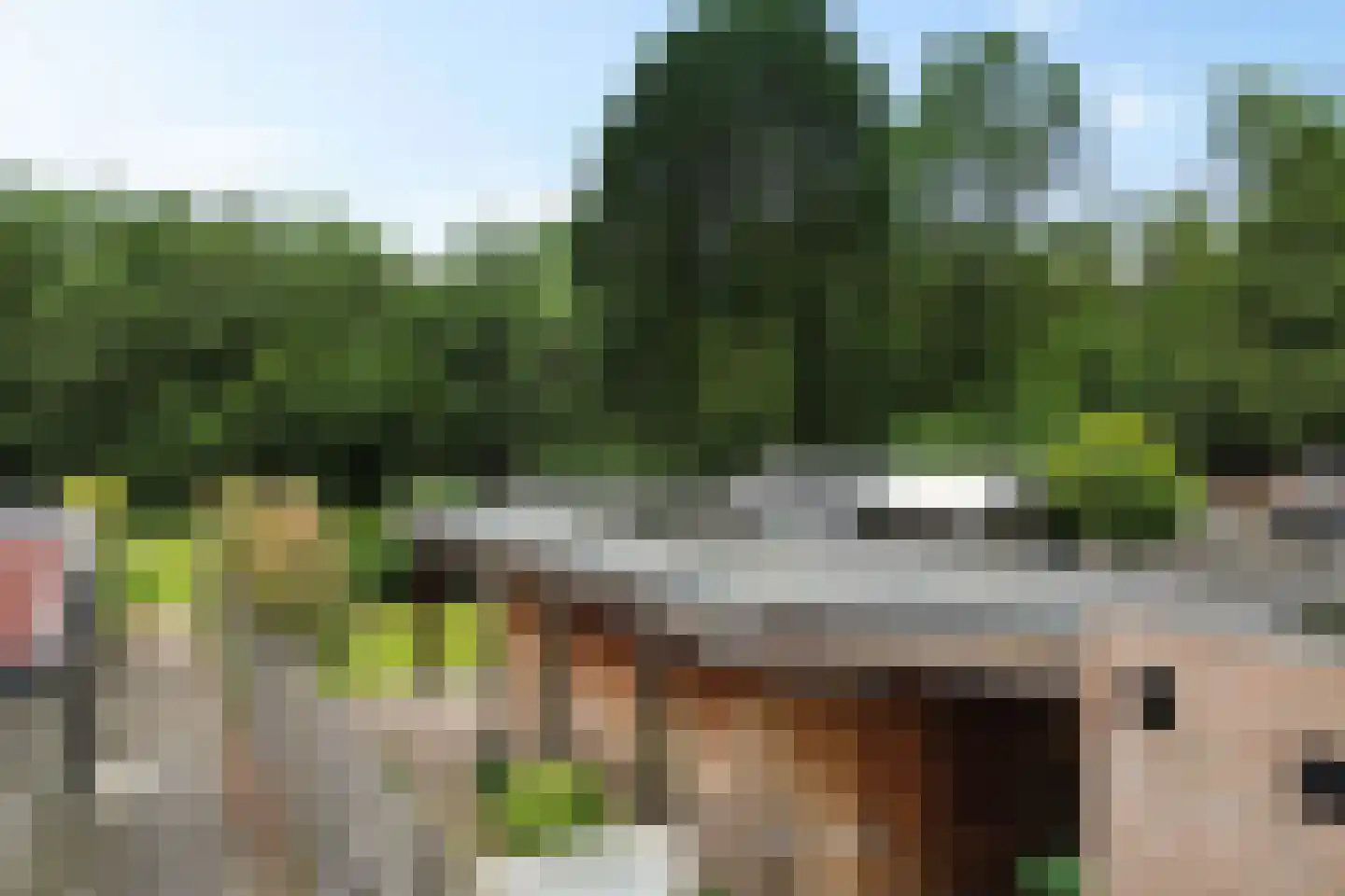 Dordseweg 65 Weiteveen thumbnail 33
