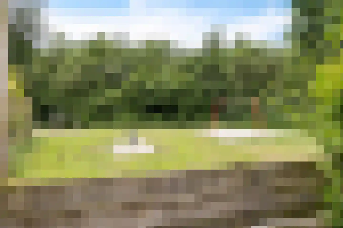 Dordseweg 65 Weiteveen thumbnail 6