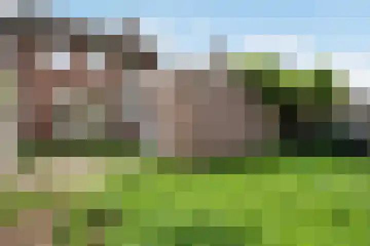 Dordseweg 73 Weiteveen thumbnail 22