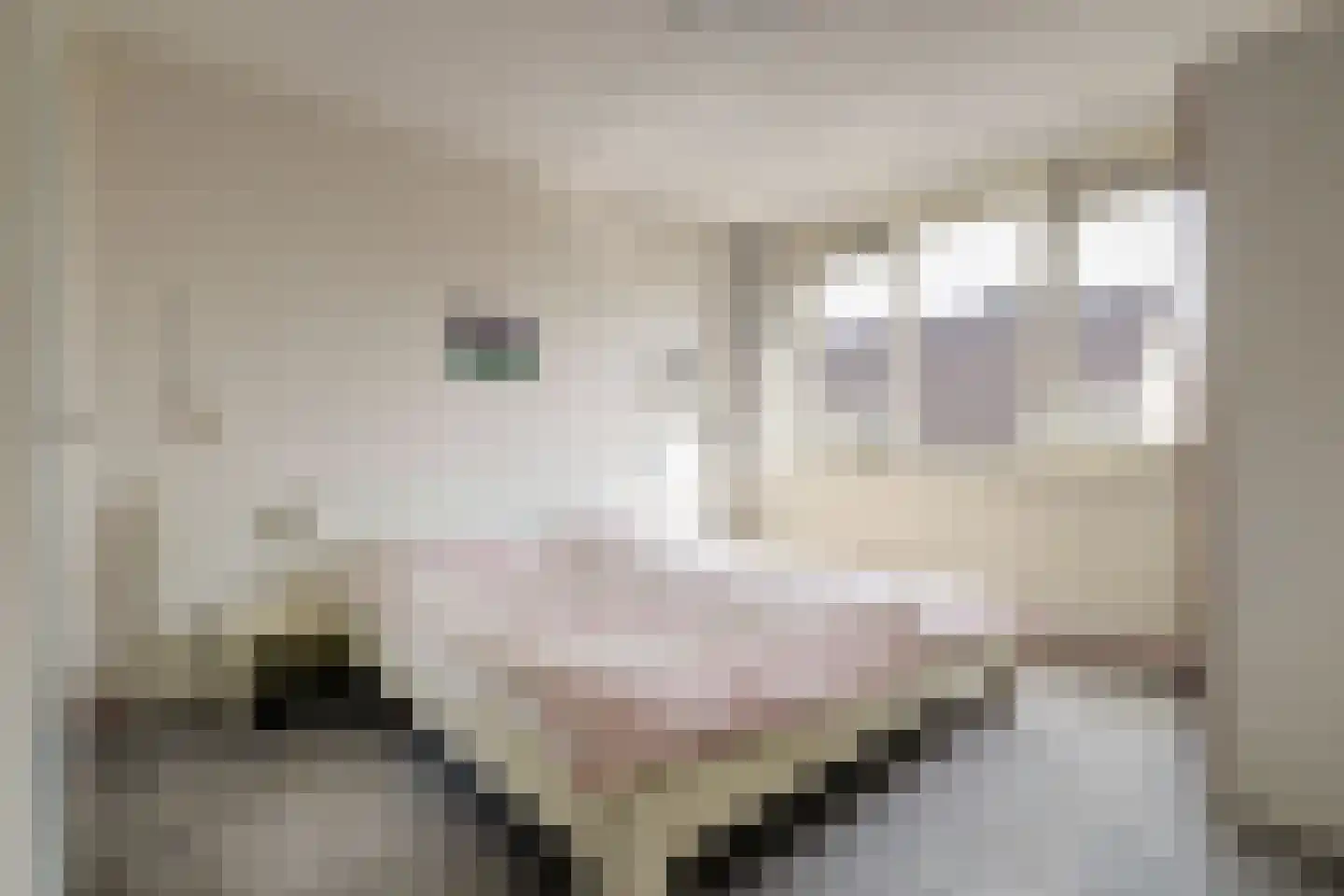 Dordtse Steen 1 Wijk bij Duurstede thumbnail 12