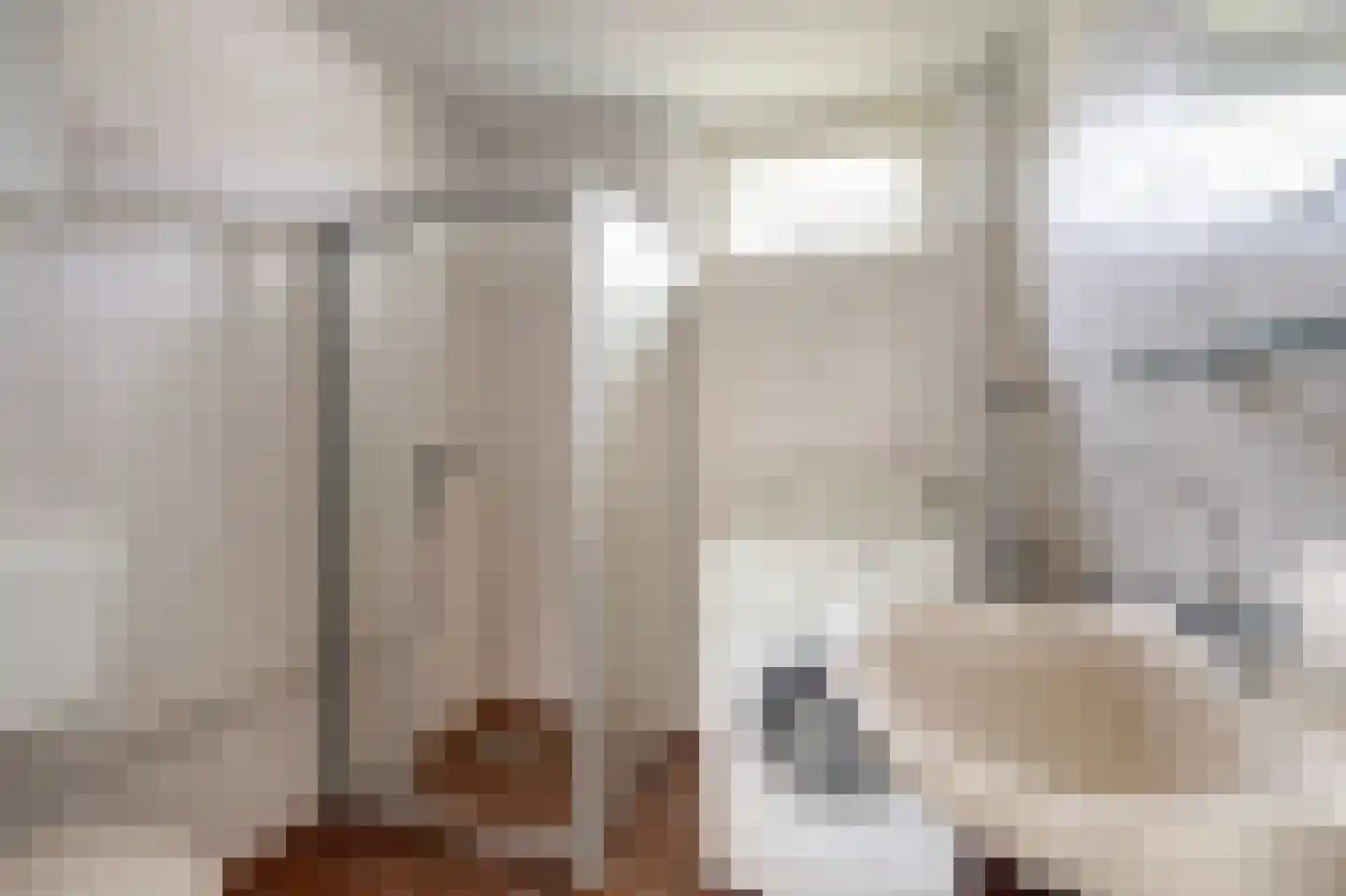Dordtse Steen 1 Wijk bij Duurstede thumbnail 18