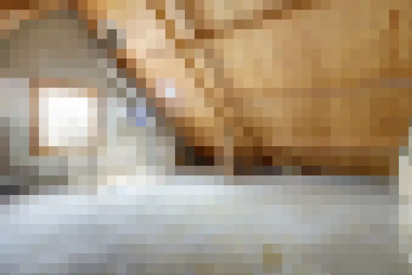 Dordtse Steen 1 Wijk bij Duurstede thumbnail 23