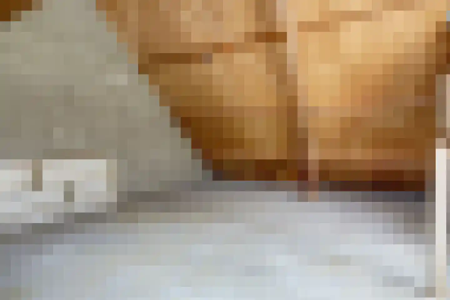 Dordtse Steen 1 Wijk bij Duurstede thumbnail 24