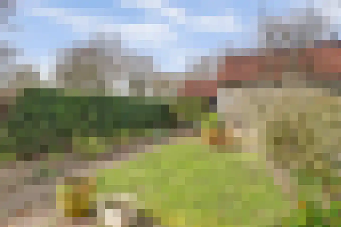 Dordtse Steen 1 Wijk bij Duurstede thumbnail 28