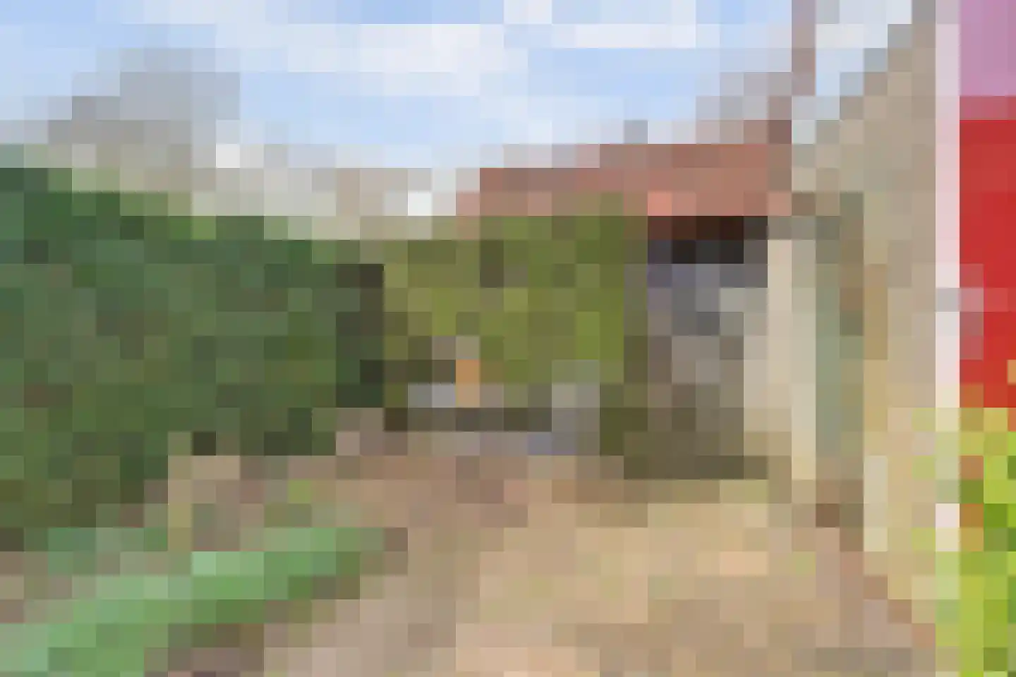 Dordtse Steen 1 Wijk bij Duurstede thumbnail 29