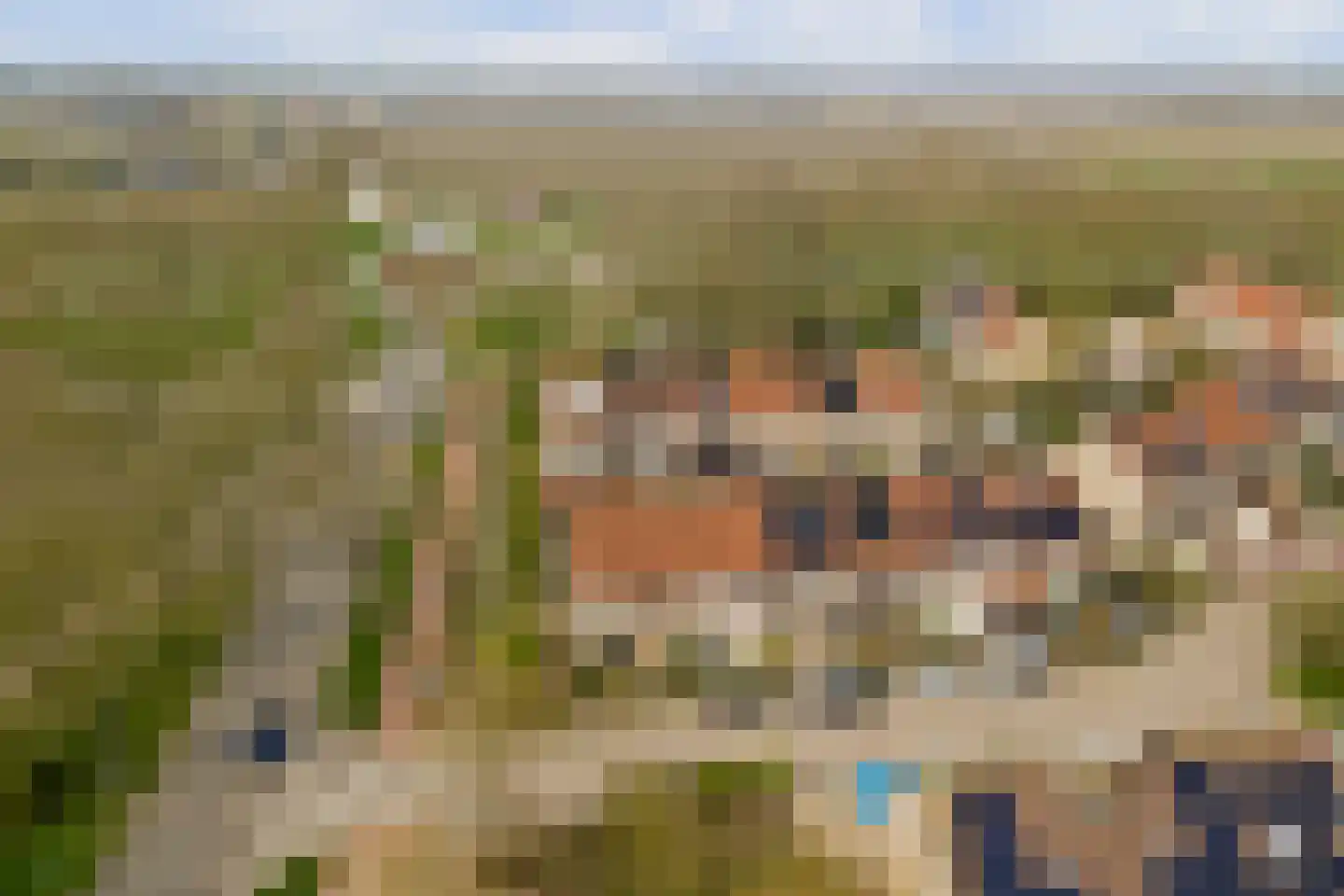 Dordtse Steen 1 Wijk bij Duurstede thumbnail 35