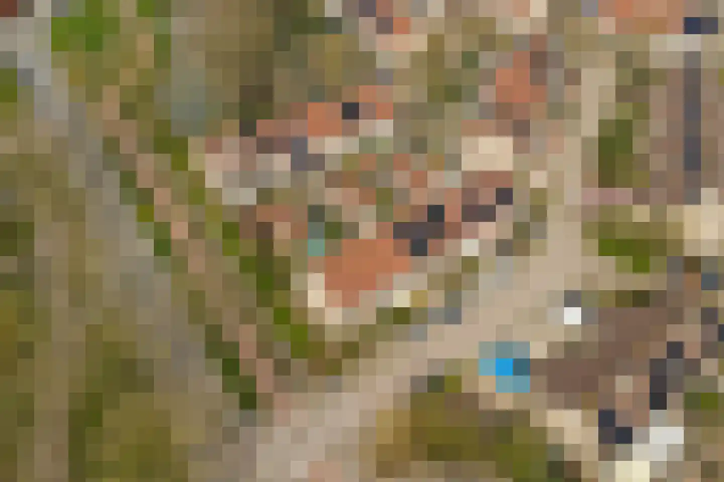 Dordtse Steen 1 Wijk bij Duurstede thumbnail 36