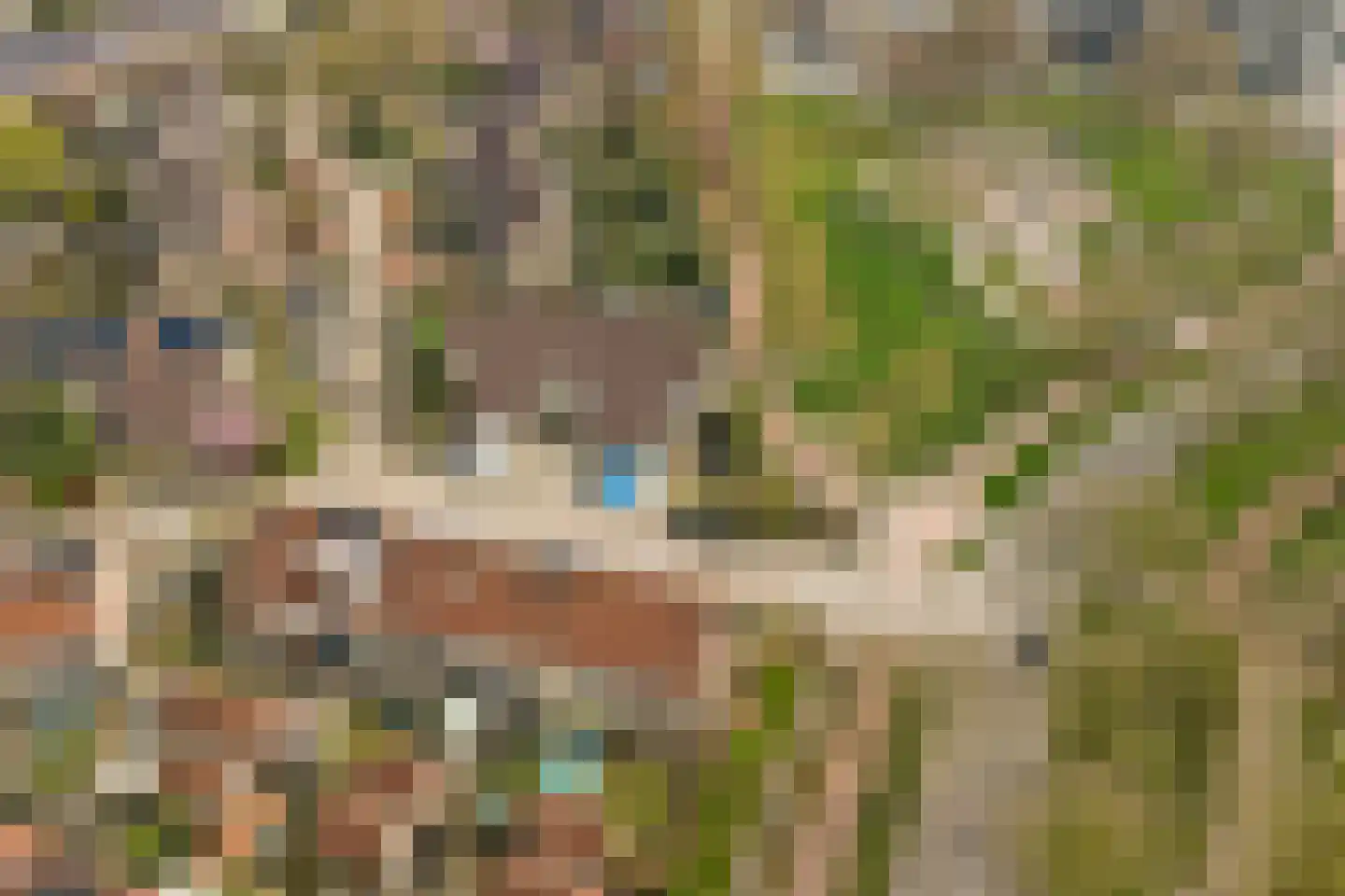 Dordtse Steen 1 Wijk bij Duurstede thumbnail 37