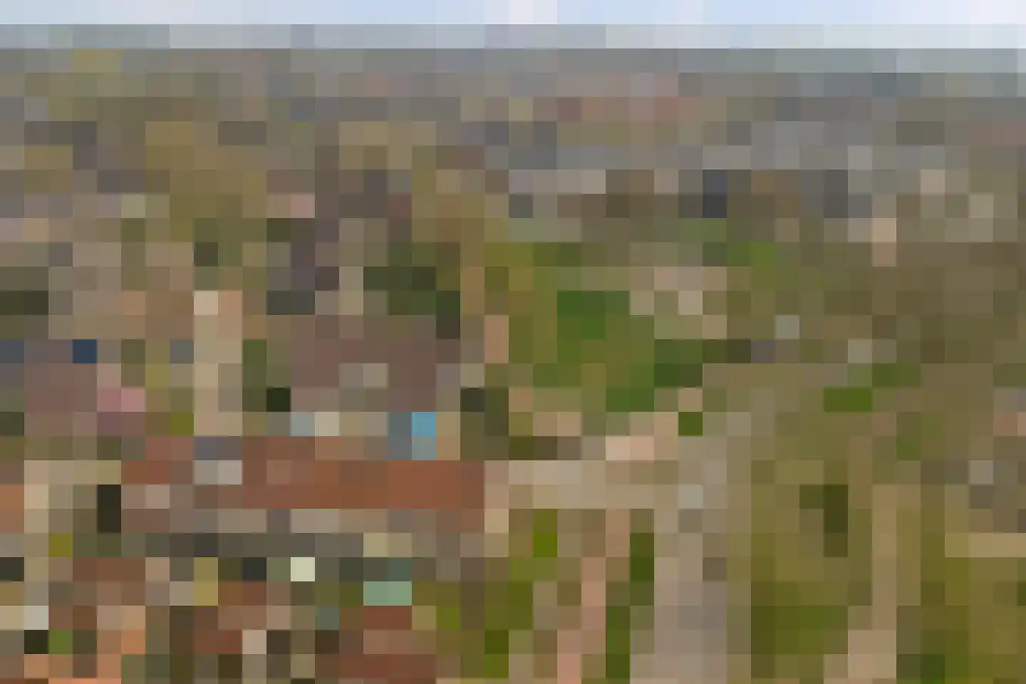 Dordtse Steen 1 Wijk bij Duurstede thumbnail 38