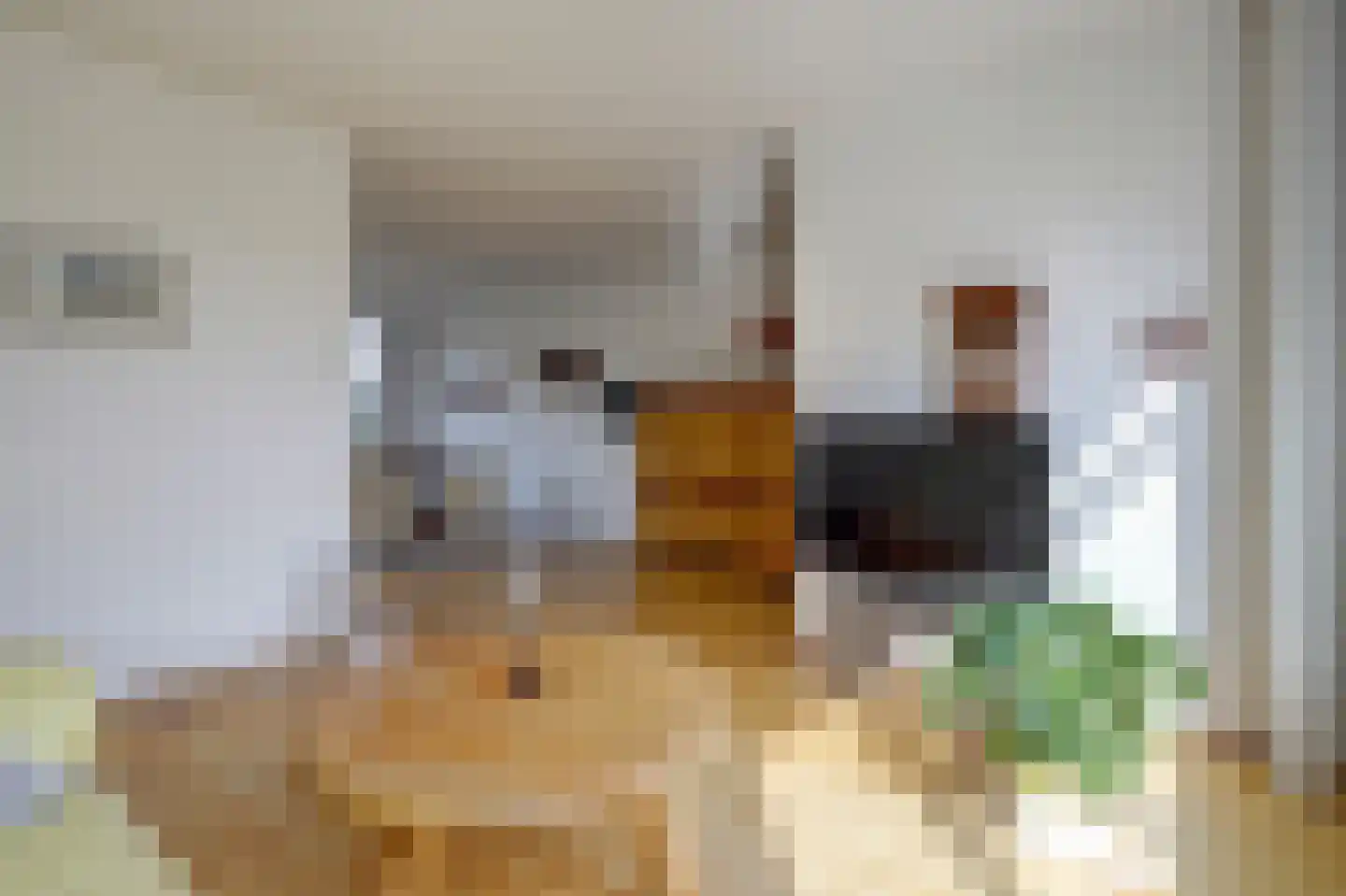 Dordtse Steen 1 Wijk bij Duurstede thumbnail 4