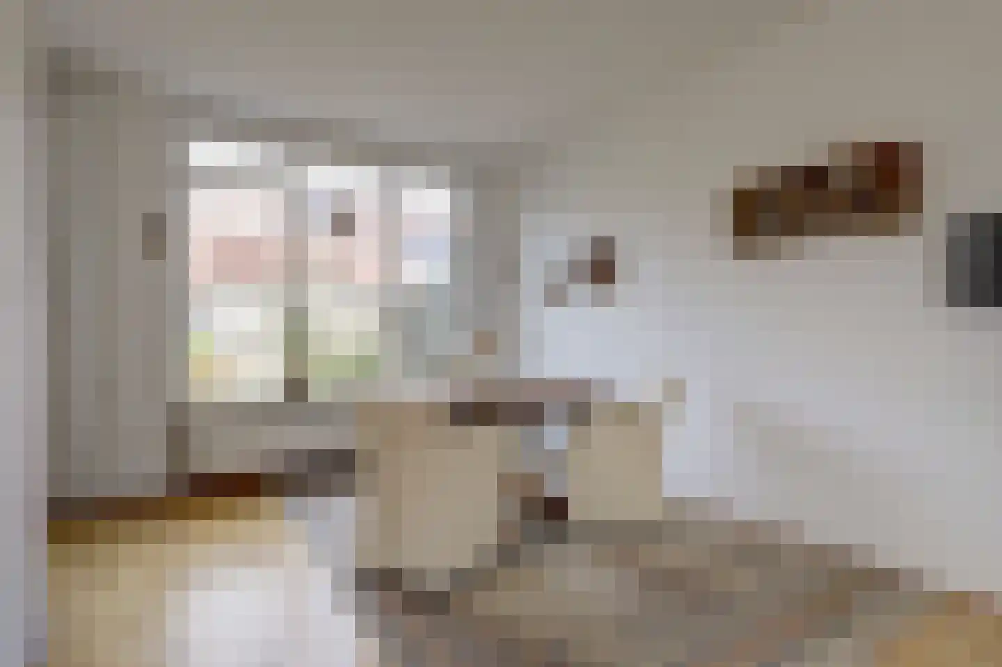 Dordtse Steen 1 Wijk bij Duurstede thumbnail 6