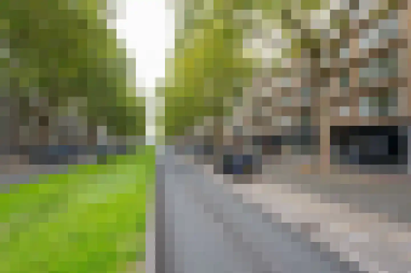 Dordtselaan 100 B in Rotterdam